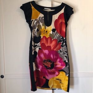 Yoana Baraschi dress